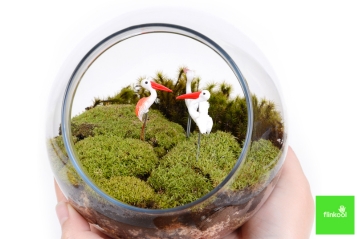 mini terrário com musgo