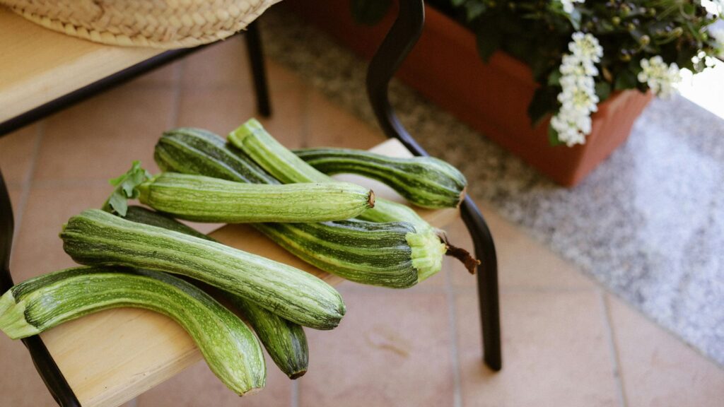 plant zucchini