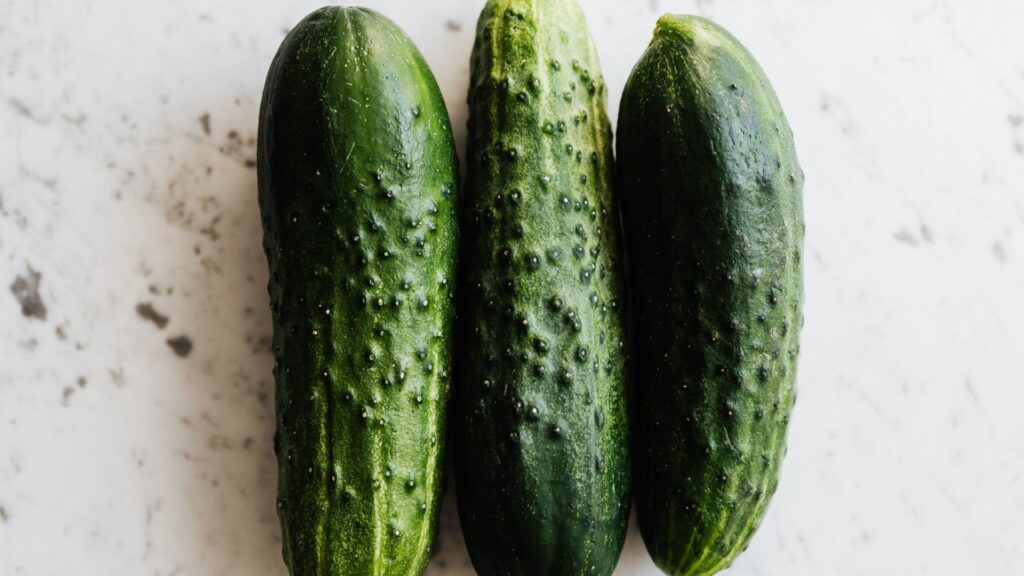 plant cucumbers