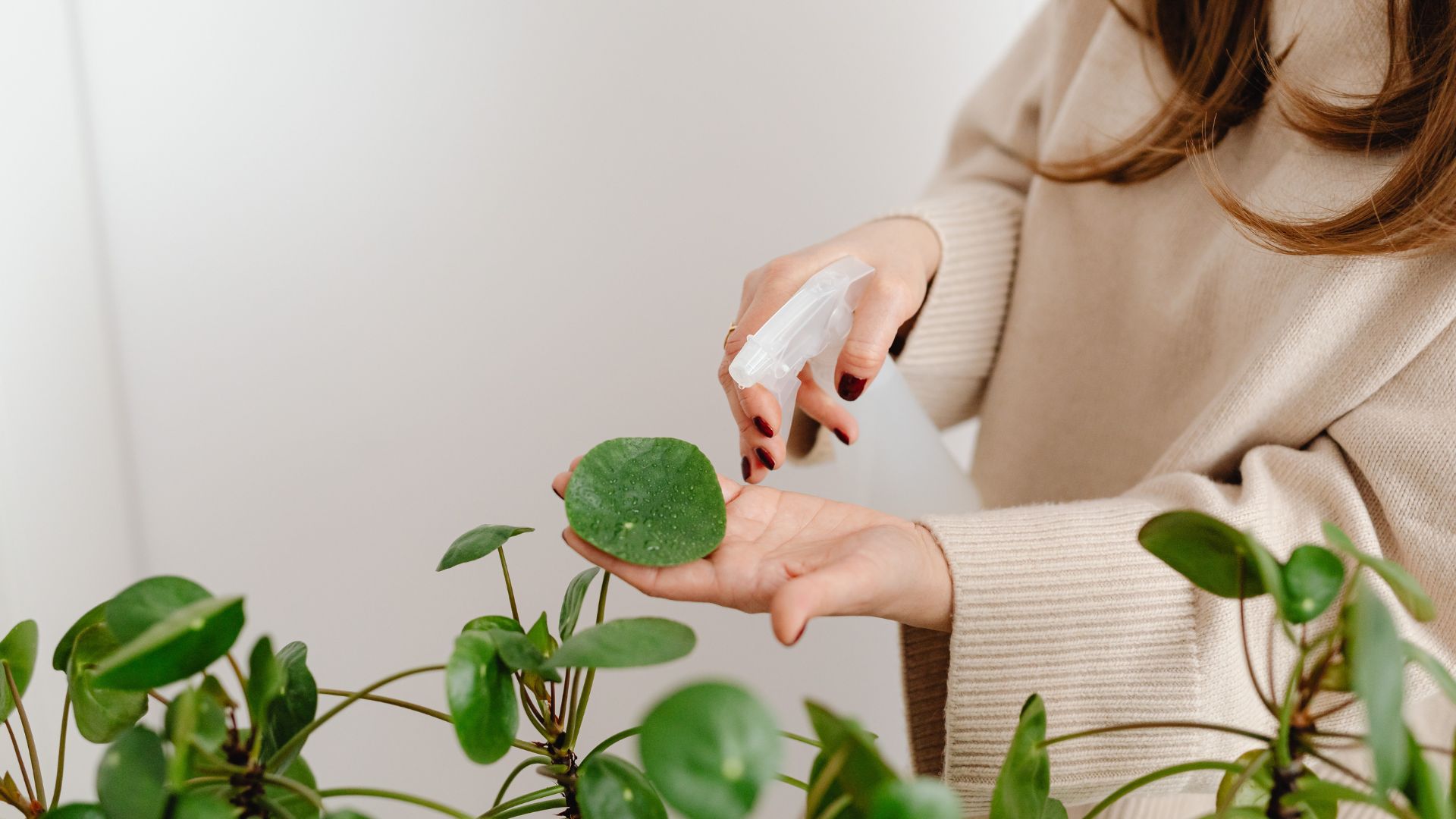 DIY insect deterrents