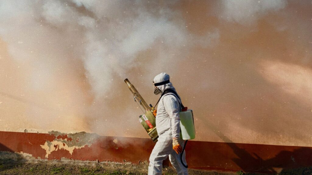 pest control solutions